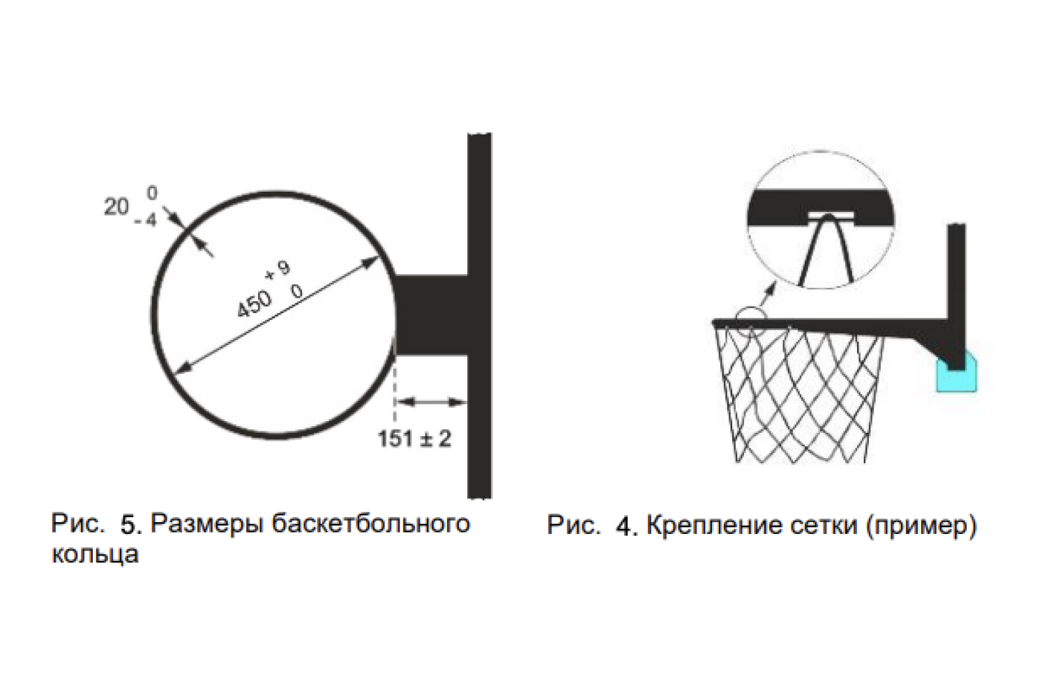 Диаметр баскетбольного кольца - стандарты FIBA и подробные правила