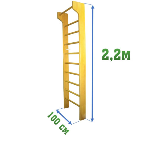 Стенка гимнастическая 2,2х1,0м с выносом (шведская)