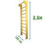 Стенка гимнастическая 2,6х1,0м с выносом (шведская)
