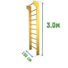 Стенка гимнастическая с выносом 3,0х1,0м 