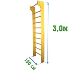 Стенка 3,0х1м с выносом (гимнастическая, шведская)