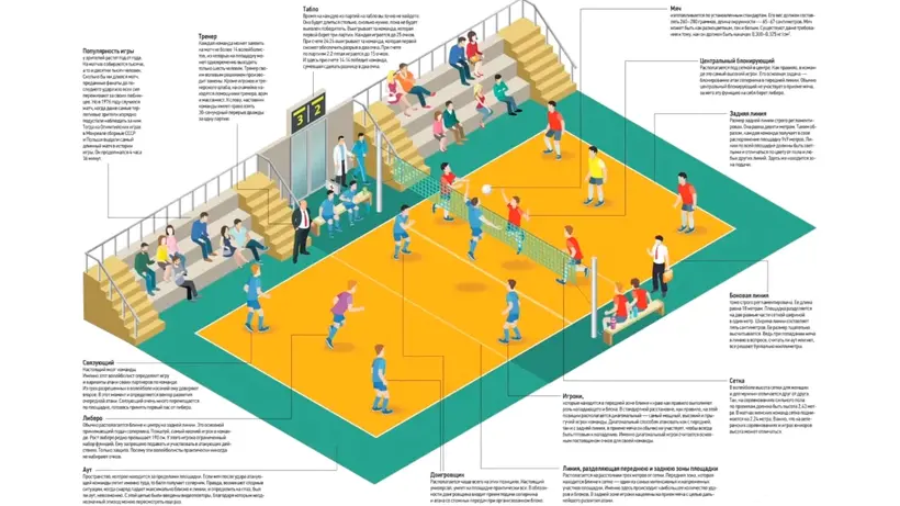Схема распределения ролей в волейболе