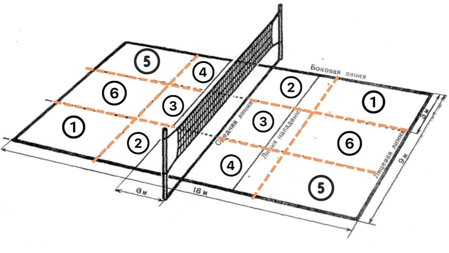 Общая схема волейбольной площадки с зонами